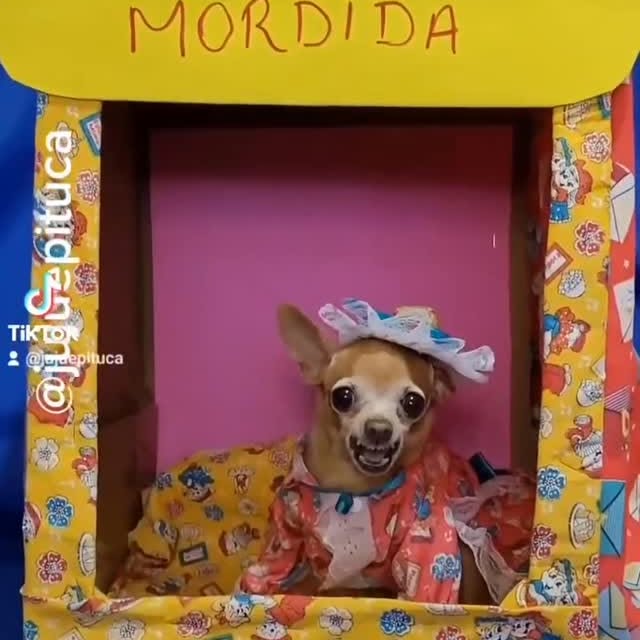  ........astiming   'recent posts' 