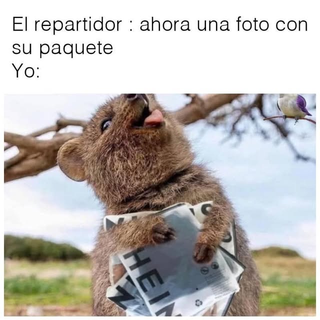  .....nanzis   'recent posts' 