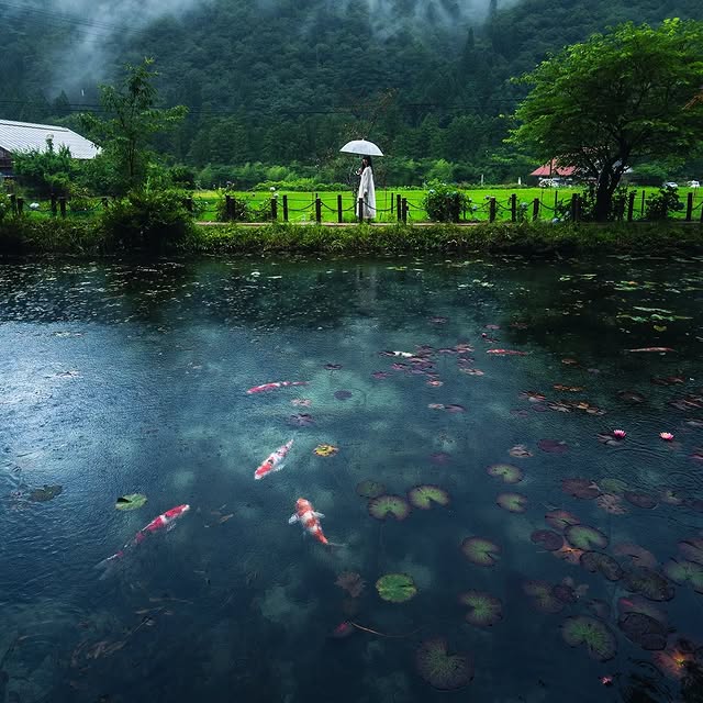  .......dbyfolk   'recent posts' 