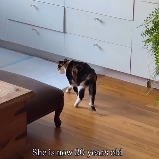  ........malsgram   'recent posts' 