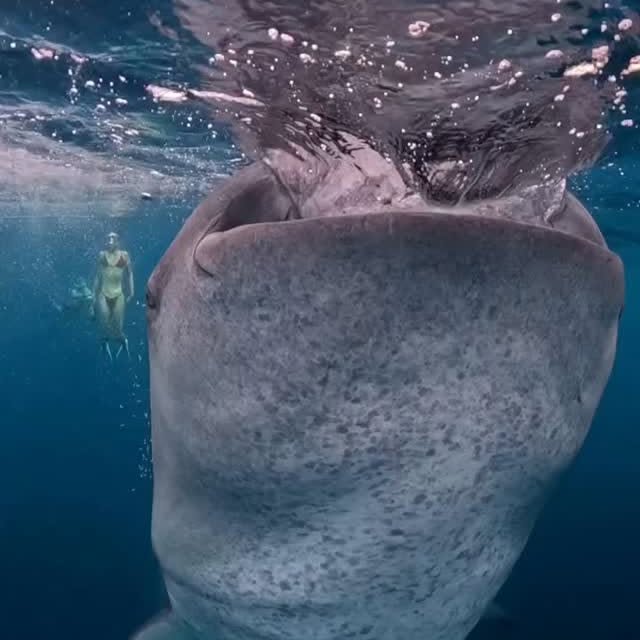  .......s.images   'recent posts' 