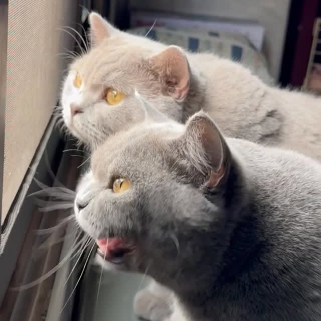  ......kekkek   'recent posts' 