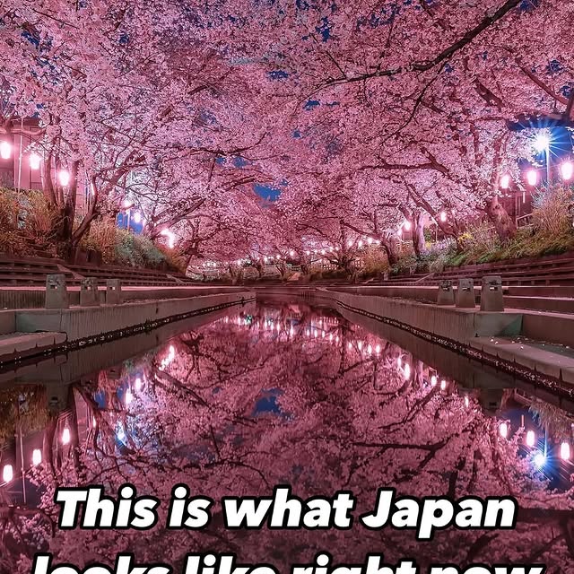  ......fervor   'recent posts' 