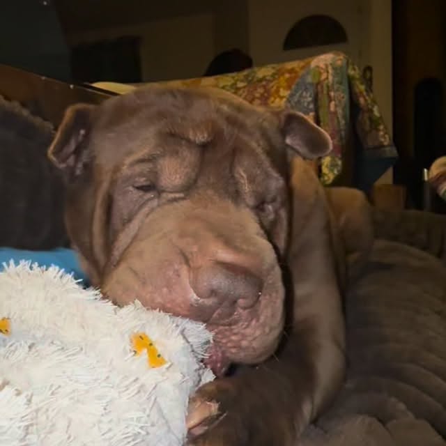  ......i.world   'recent posts' 