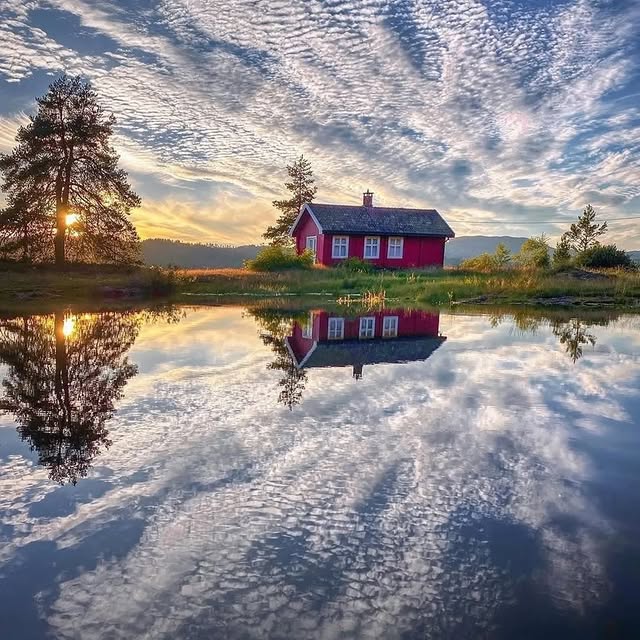  ........vacations   'recent posts' 