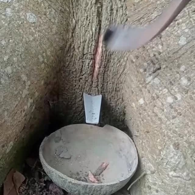  ........_culture_   'recent posts' 