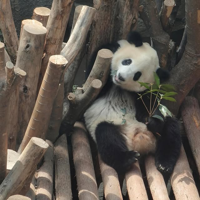  ....mente   'recent posts' 