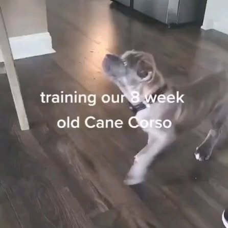  ........o.castle   'recent posts' 