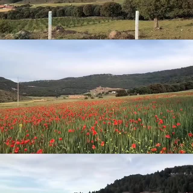  ......my_city   'recent posts' 