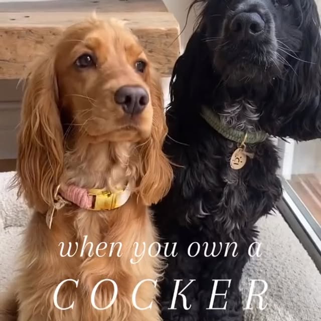  ......ofinsta   'recent posts' 