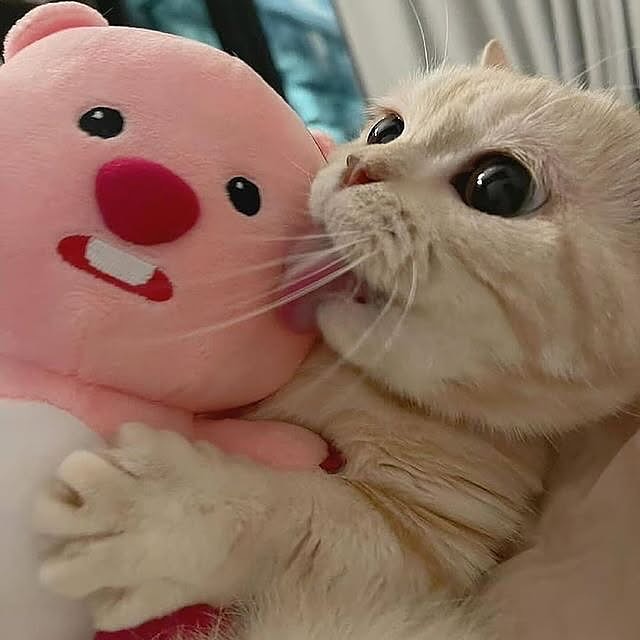  .....kuties   'recent posts' 