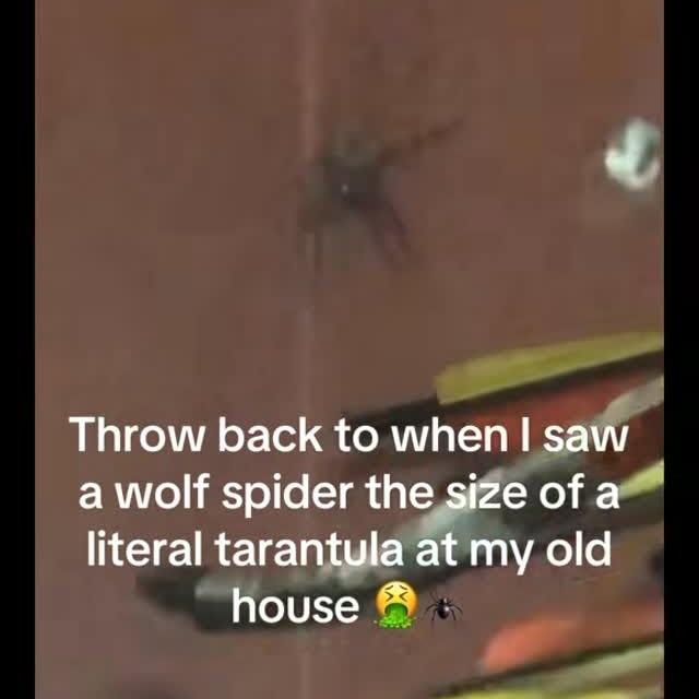  ......awilson   'recent posts' 