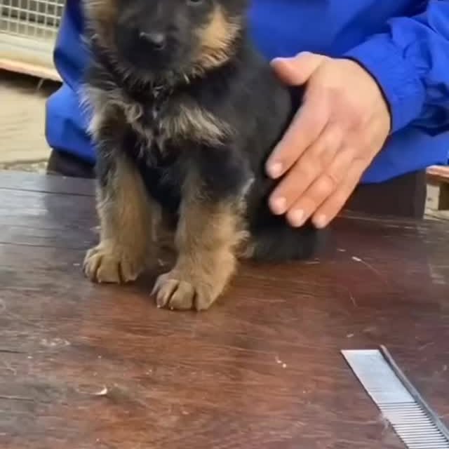  ....iming   'recent posts' 