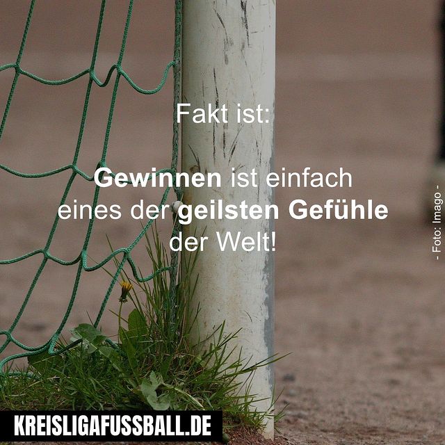  ..........ussball.de   'recent posts' 