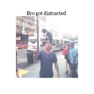  .....fpetz   'recent posts' 