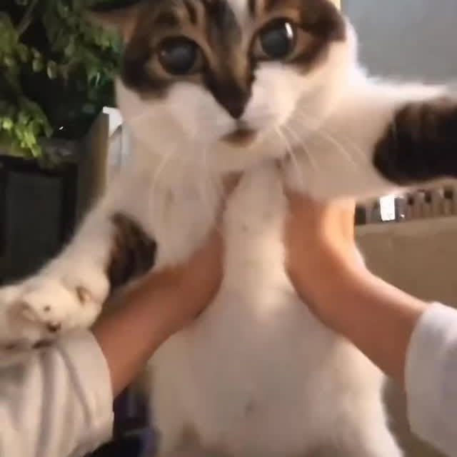  .....attos   'recent posts' 