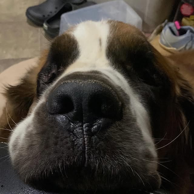  .........intbernard   'recent posts' 