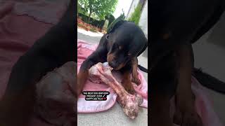  .......ler Life  'recent videos' 