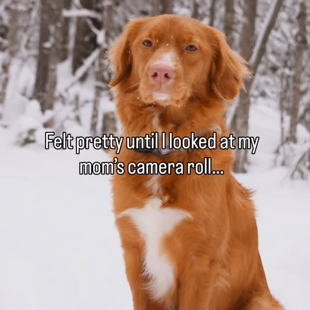  ......atoller   'recent posts' 