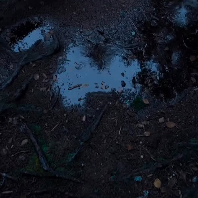  .......dbyfolk   'recent posts' 