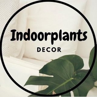 shoutout from .........nts_decor influencer on Instagram  