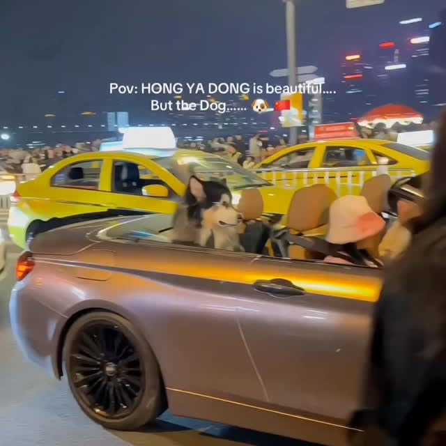  ..........a.official   'recent posts' 