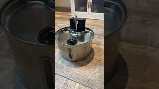  ..........escosolido  'recent videos' 