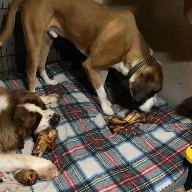  .........intbernard   'recent posts' 