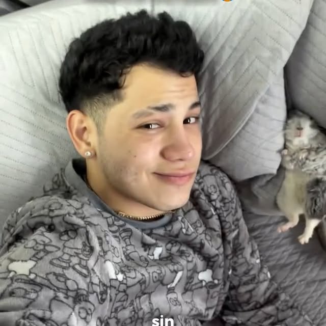  ........del_exito   'recent posts' 