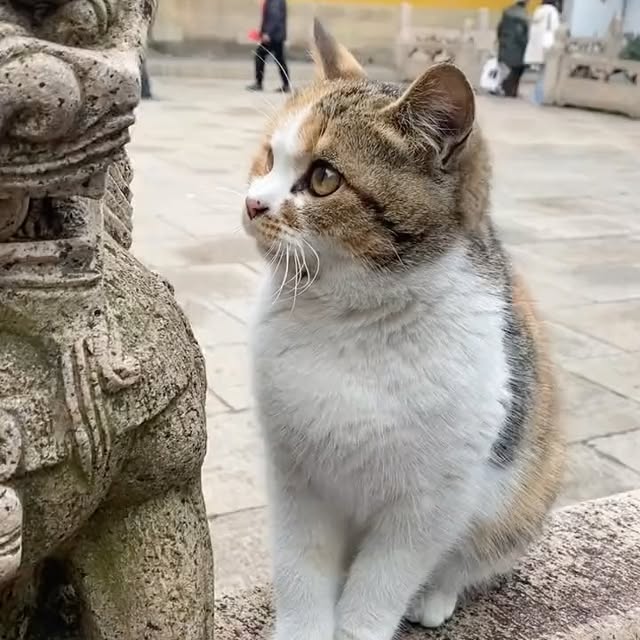  ...urre   'recent posts' 