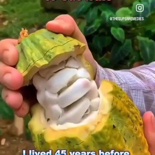  .....lvibee   'recent posts' 