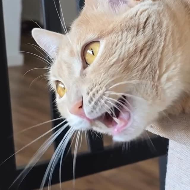  ......kekkek   'recent posts' 