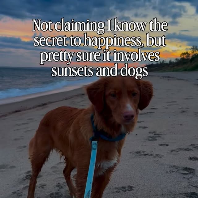  ......atoller   'recent posts' 