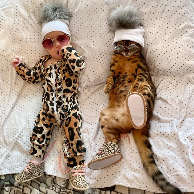  .....bengal   'recent posts' 