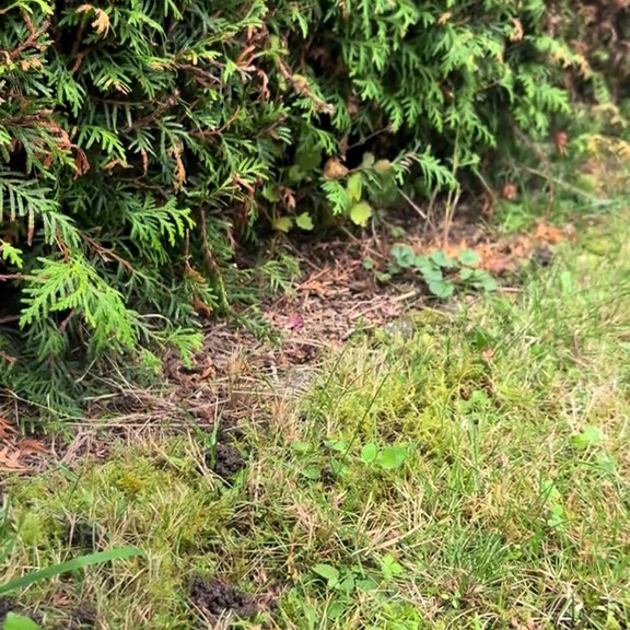  ........ckstatue   'recent posts' 