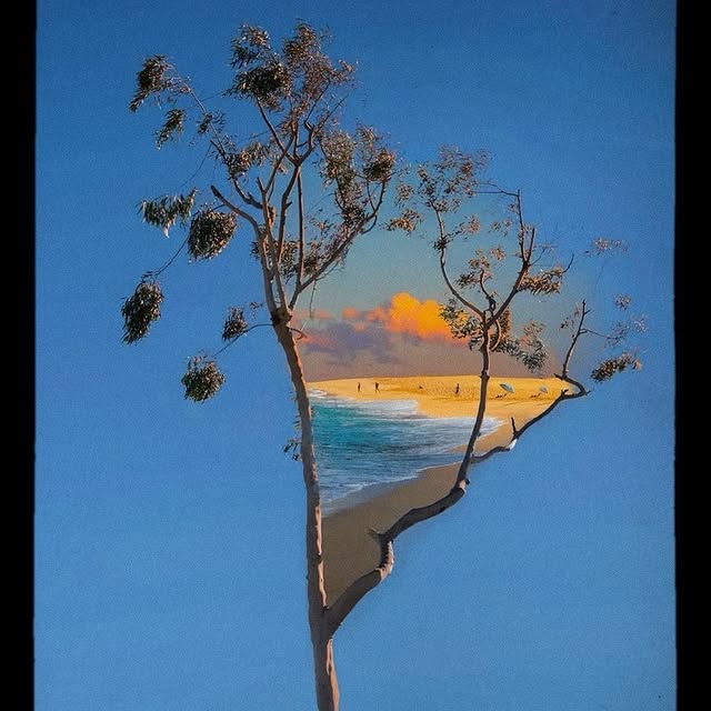  .......refervor   'recent posts' 