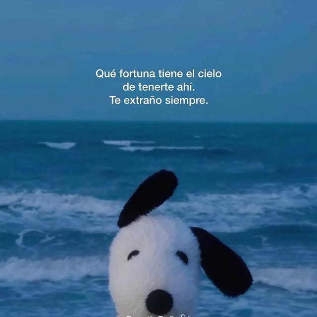  ......oencafe   'recent posts' 