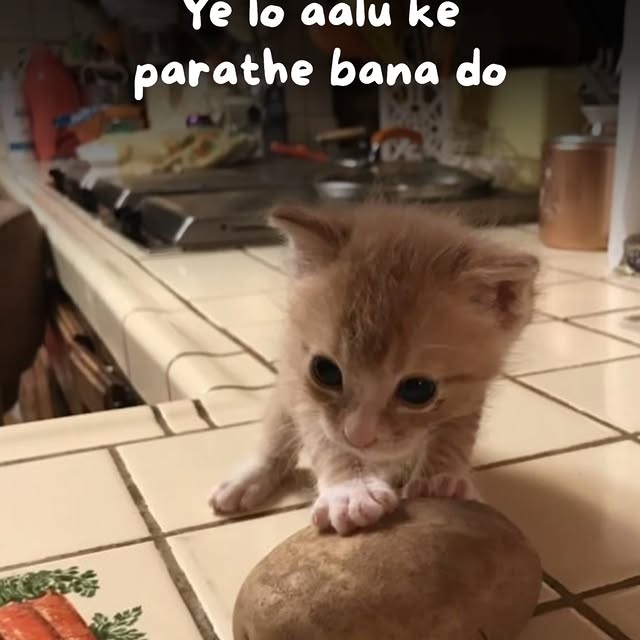  .......dstories   'recent posts' 