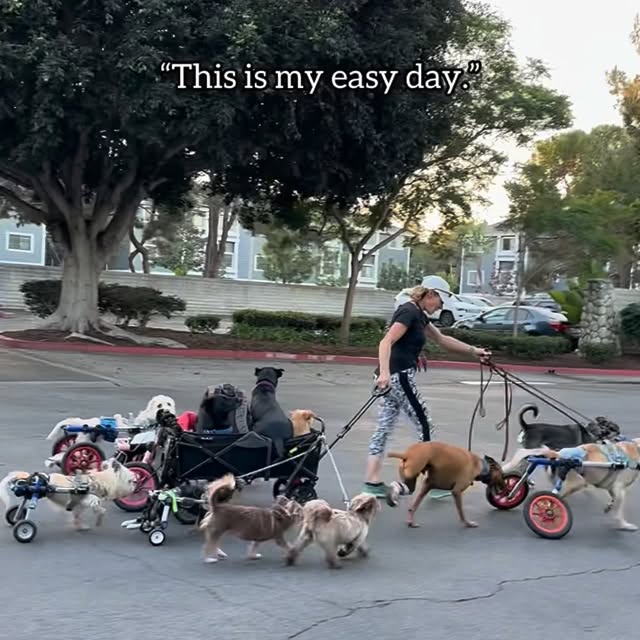  ........malsgram   'recent posts' 