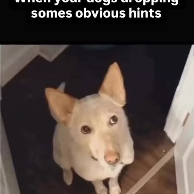  ......ogscute   'recent posts' 