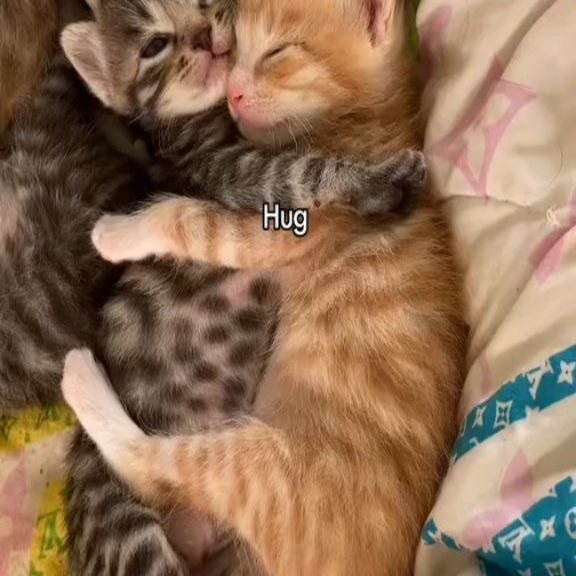  ....360vr   'recent posts' 