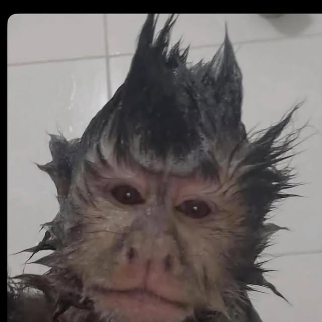  .........edstruggle   'recent posts' 