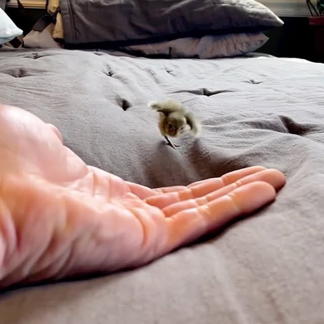  ........malsgram   'recent posts' 