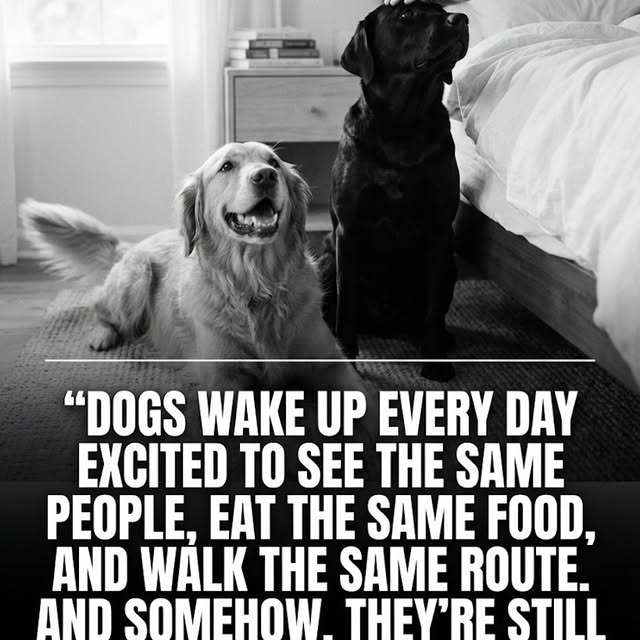  .....otrain   'recent posts' 