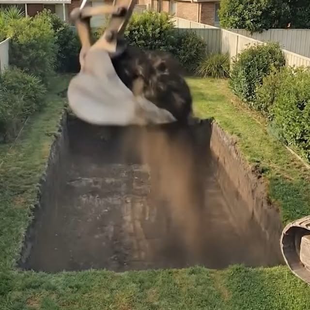  .......ivehouse   'recent posts' 