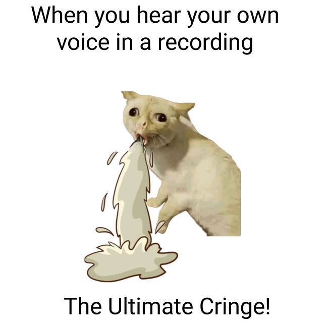  ......anacat   'recent posts' 