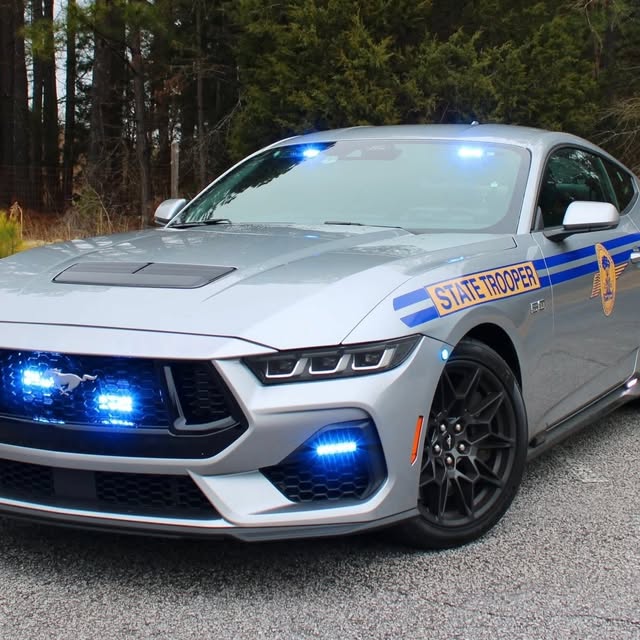  .......fanclub   'recent posts' 