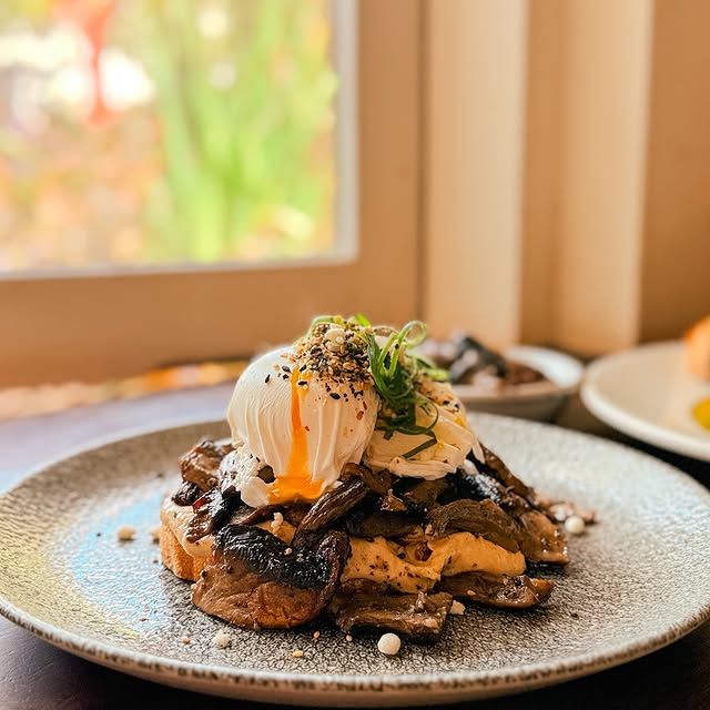  ....ology   'recent posts' 