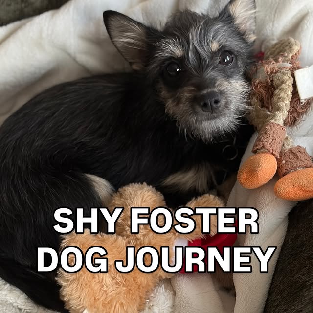  ........adkinson   'recent posts' 