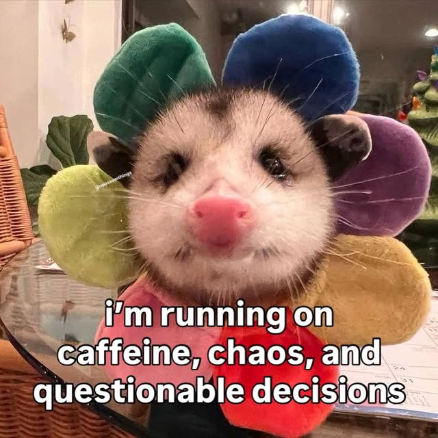  ......mthings   'recent posts' 